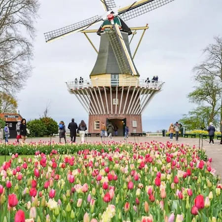 Loft 57 Frühstückspension 4*